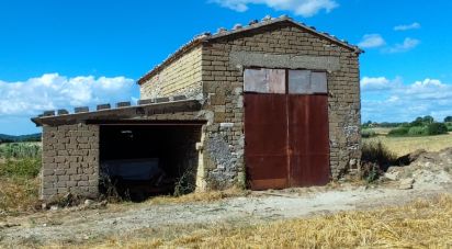 Agricultural land of 140,000 m² in Pitigliano (58017)