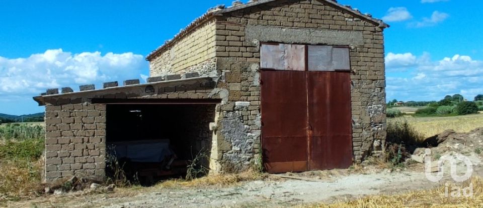 Terreno agricolo di 140.000 m² in Pitigliano (58017)