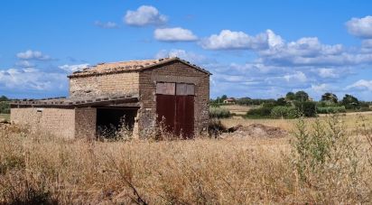 Terreno agricolo di 140.000 m² in Pitigliano (58017)