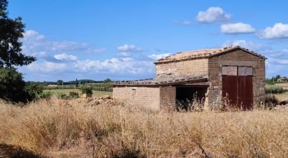 Agricultural land of 140,000 m² in Pitigliano (58017)