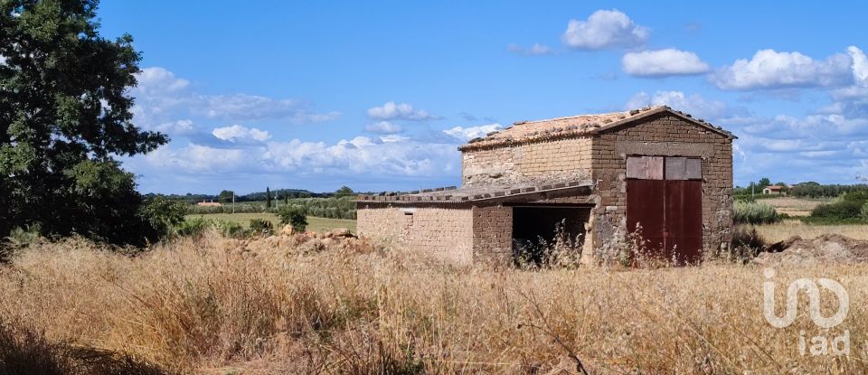 Terreno agricolo di 140.000 m² in Pitigliano (58017)