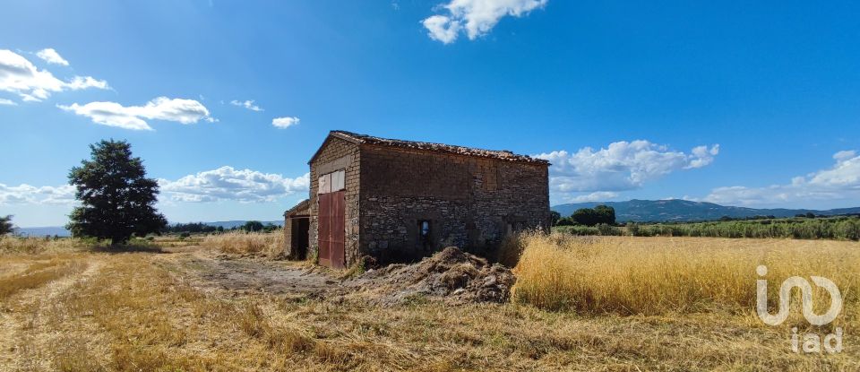 Terreno agricolo di 140.000 m² in Pitigliano (58017)