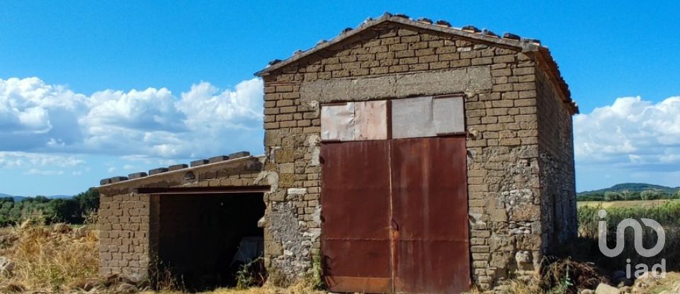 Terreno agricolo di 140.000 m² in Pitigliano (58017)