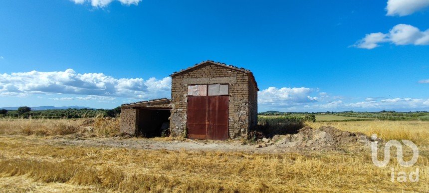 Terreno agricolo di 140.000 m² in Pitigliano (58017)