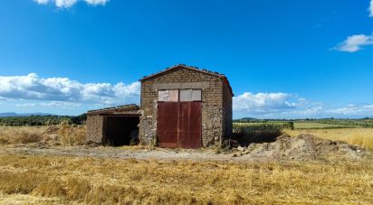 Terreno agricolo di 140.000 m² in Pitigliano (58017)