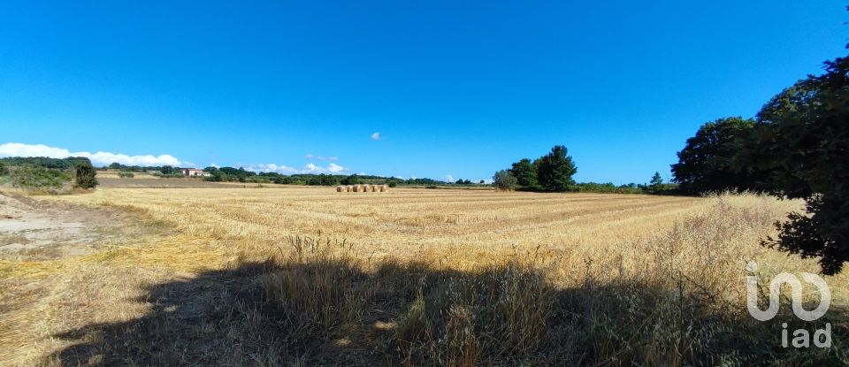 Terreno agricolo di 140.000 m² in Pitigliano (58017)