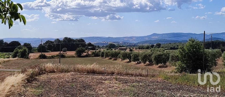 Agricultural land of 140,000 m² in Pitigliano (58017)