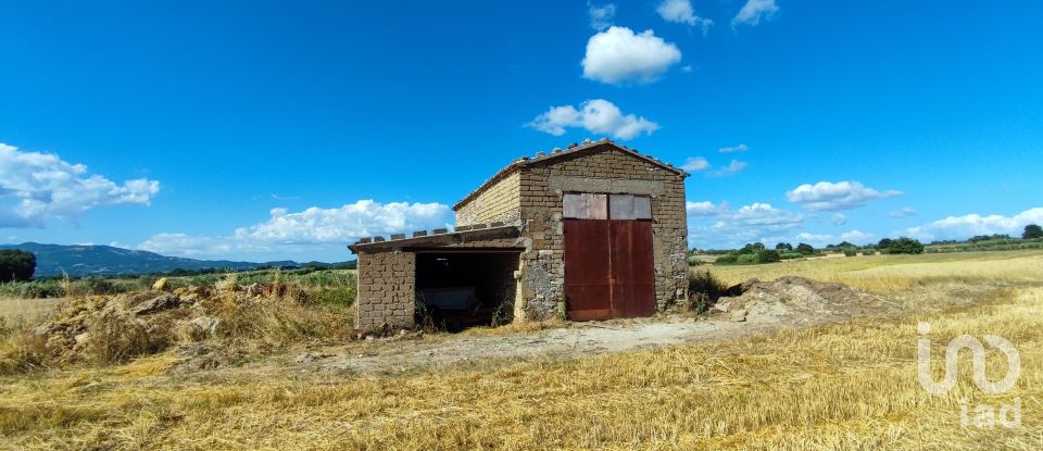 Agricultural land of 140,000 m² in Pitigliano (58017)