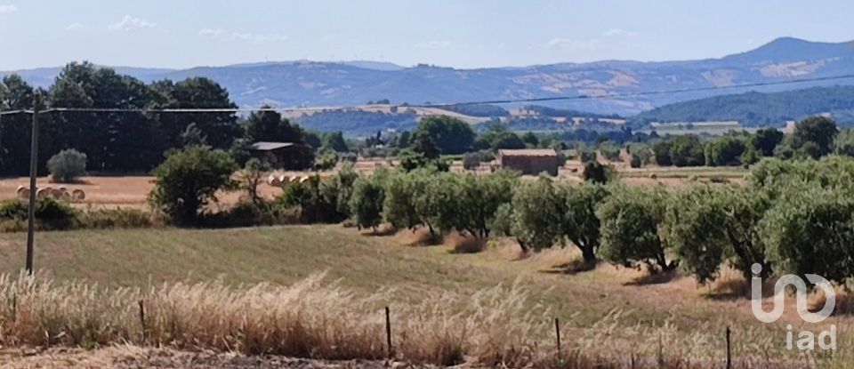 Agricultural land of 140,000 m² in Pitigliano (58017)