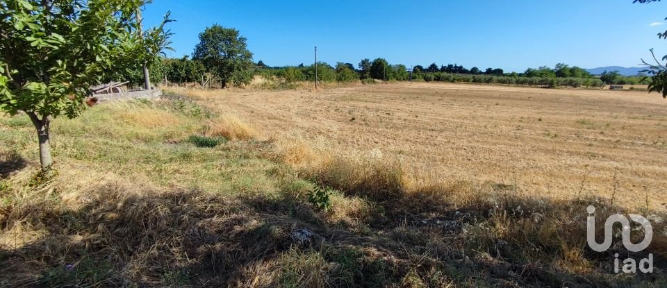 Terreno agricolo di 140.000 m² in Pitigliano (58017)