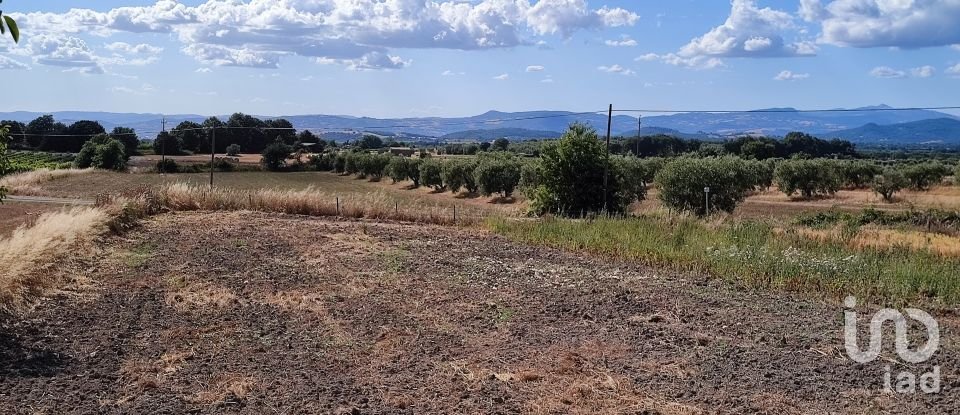 Agricultural land of 140,000 m² in Pitigliano (58017)