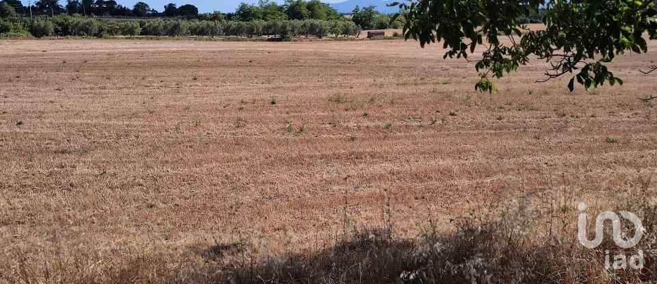 Agricultural land of 140,000 m² in Pitigliano (58017)