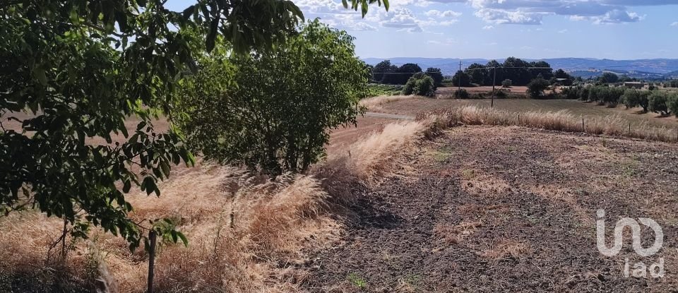 Agricultural land of 140,000 m² in Pitigliano (58017)