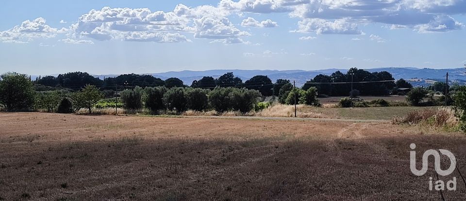 Agricultural land of 140,000 m² in Pitigliano (58017)