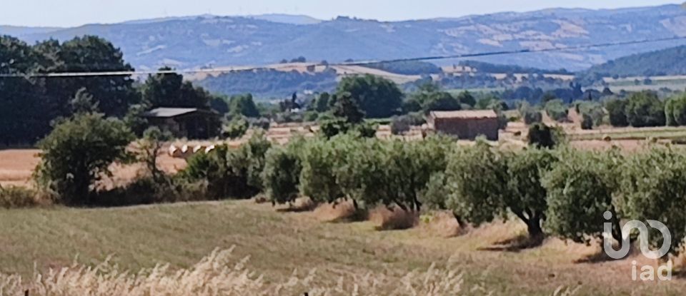 Agricultural land of 140,000 m² in Pitigliano (58017)