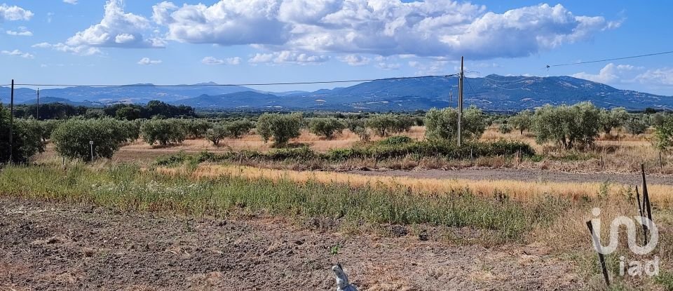 Terreno agricolo di 140.000 m² in Pitigliano (58017)