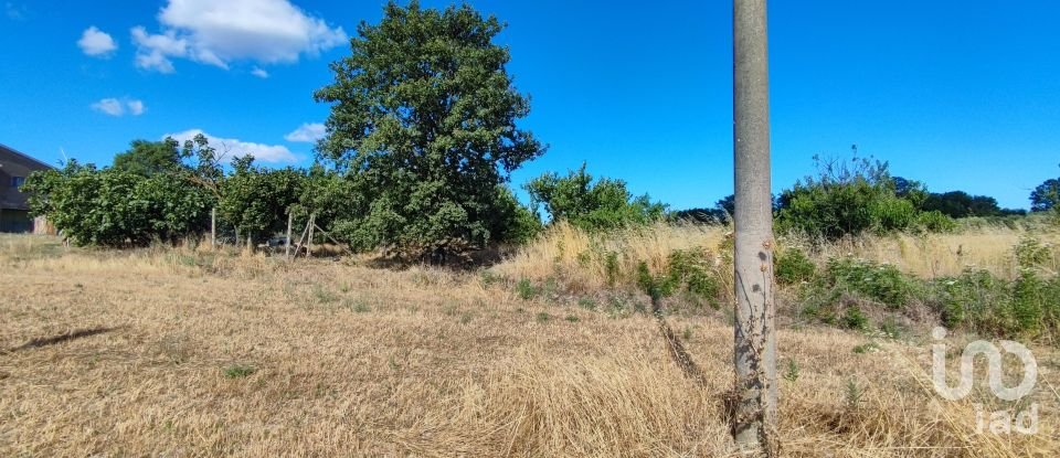 Agricultural land of 140,000 m² in Pitigliano (58017)