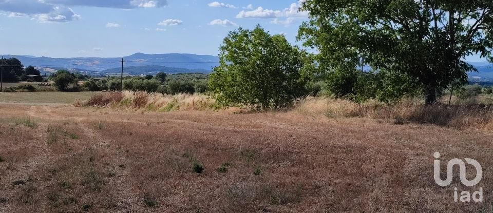 Terreno agricolo di 140.000 m² in Pitigliano (58017)