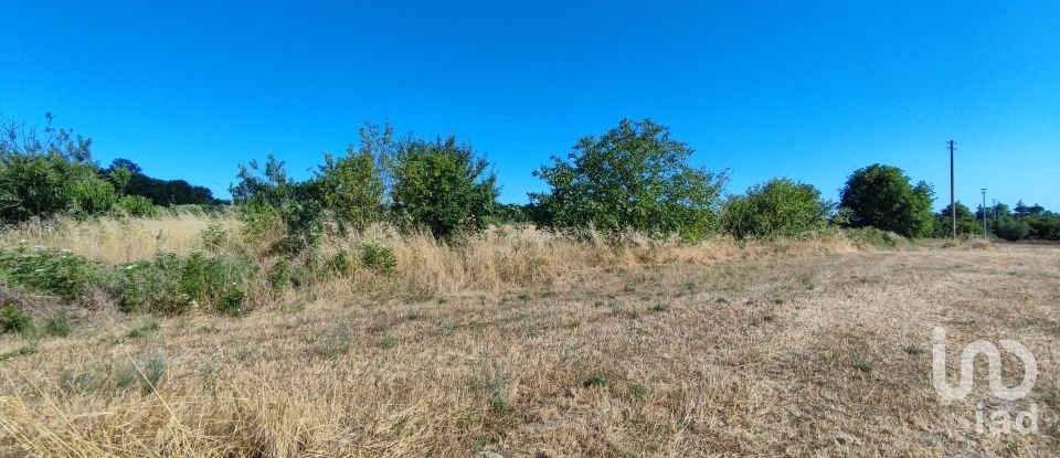 Agricultural land of 140,000 m² in Pitigliano (58017)