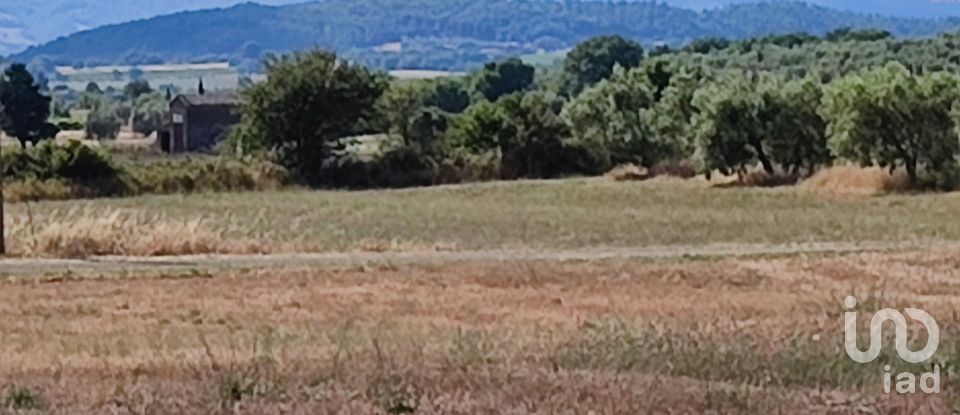 Agricultural land of 140,000 m² in Pitigliano (58017)