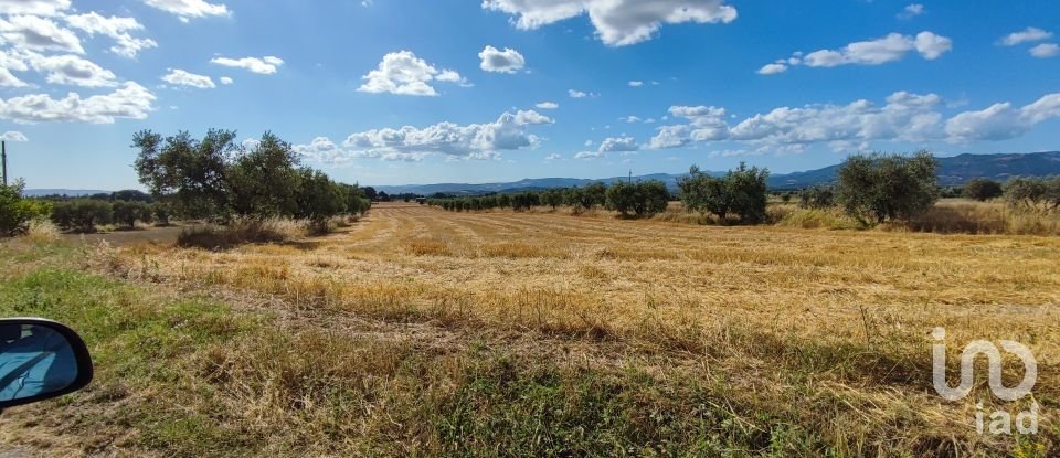 Agricultural land of 140,000 m² in Pitigliano (58017)