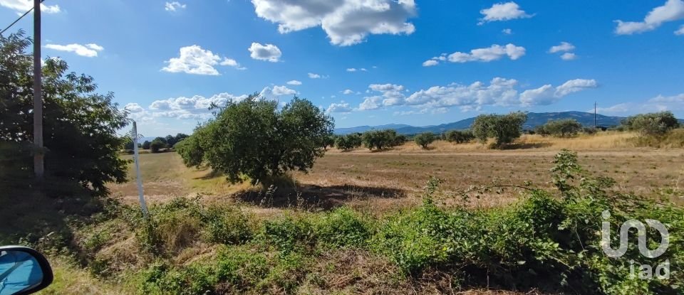 Agricultural land of 140,000 m² in Pitigliano (58017)