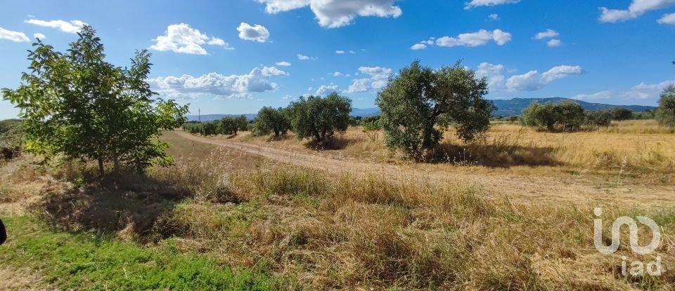 Terreno agricolo di 140.000 m² in Pitigliano (58017)