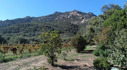 Farm 5 rooms of 160 m² in Olbia (07026)