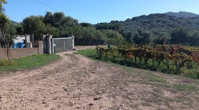 Farm 5 rooms of 160 m² in Olbia (07026)