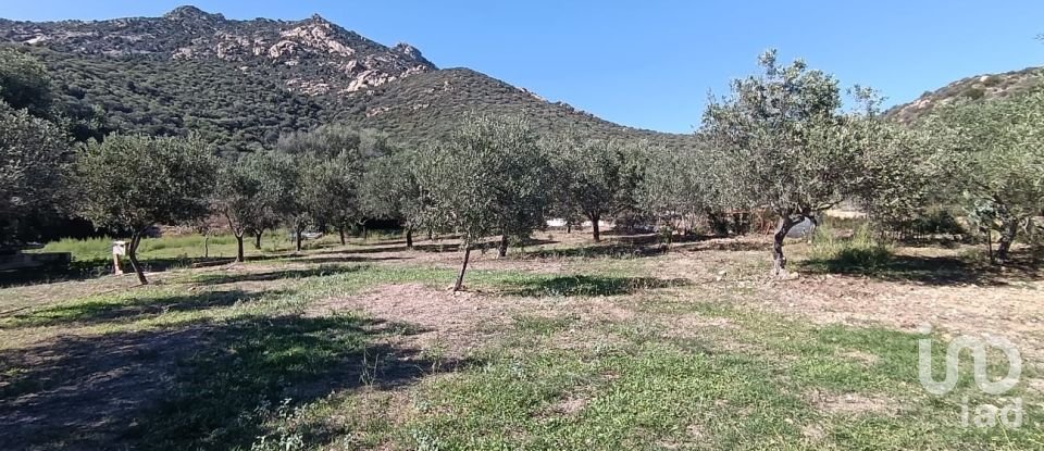 Farm 5 rooms of 160 m² in Olbia (07026)