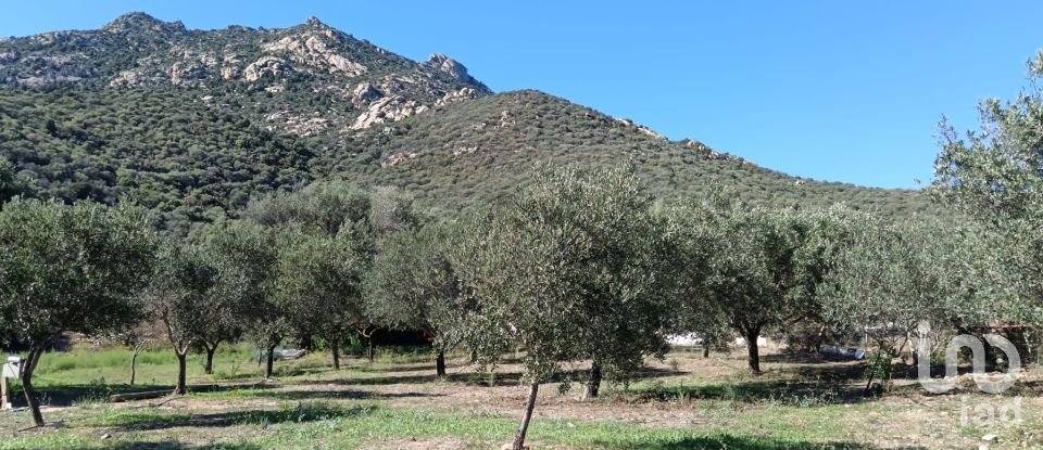 Farm 5 rooms of 160 m² in Olbia (07026)