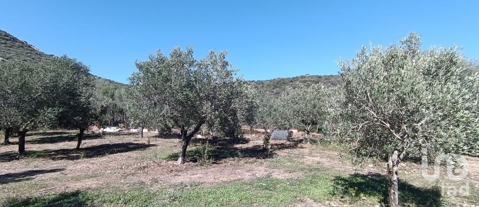 Farm 5 rooms of 160 m² in Olbia (07026)