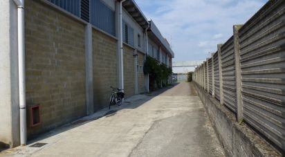 Warehouse of 800 m² in Vercelli (13100)