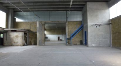 Warehouse of 800 m² in Vercelli (13100)