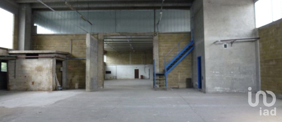 Warehouse of 800 m² in Vercelli (13100)