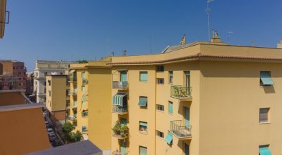 Appartamento 7 locali di 132 m² a Anzio (00042)