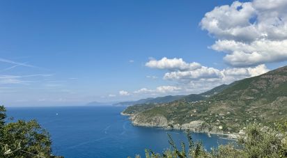 Town house 5 rooms of 101 m² in Levanto (19015)