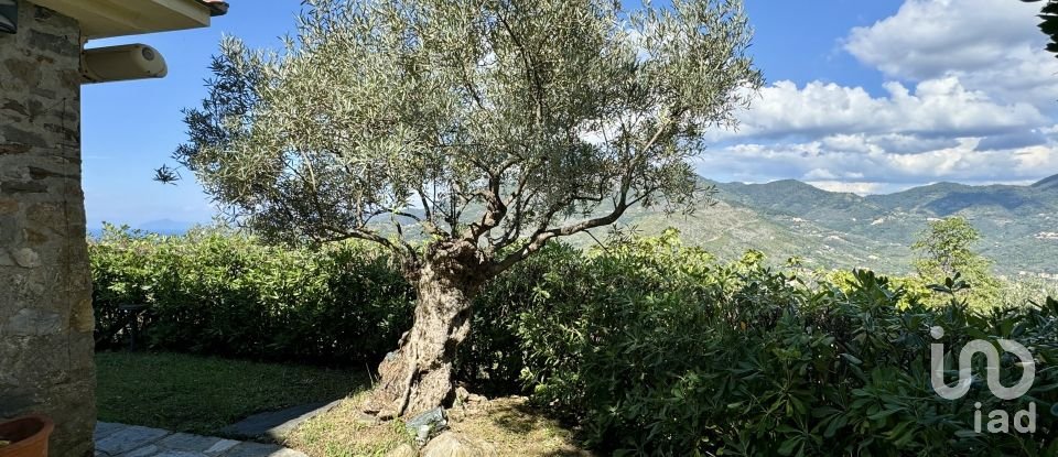 Town house 5 rooms of 101 m² in Levanto (19015)