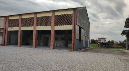 Terreno agricolo di 102.869 m² in Montegalda (36047)