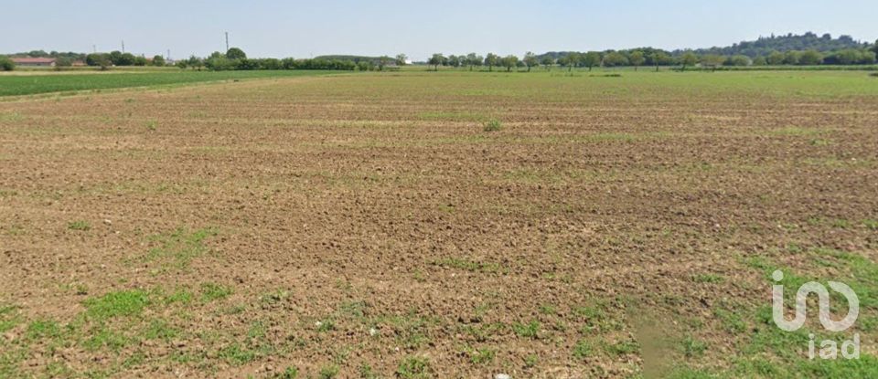 Agricultural land of 102,869 m² in Montegalda (36047)