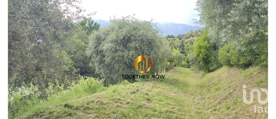 Three-room apartment of 129 m² in Asolo (31011)