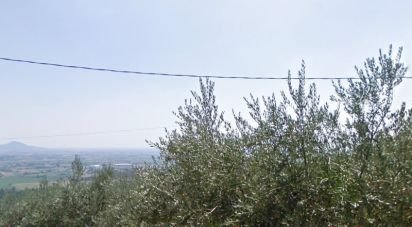 Land of 200,000 m² in Barbarano Vicentino (36048)