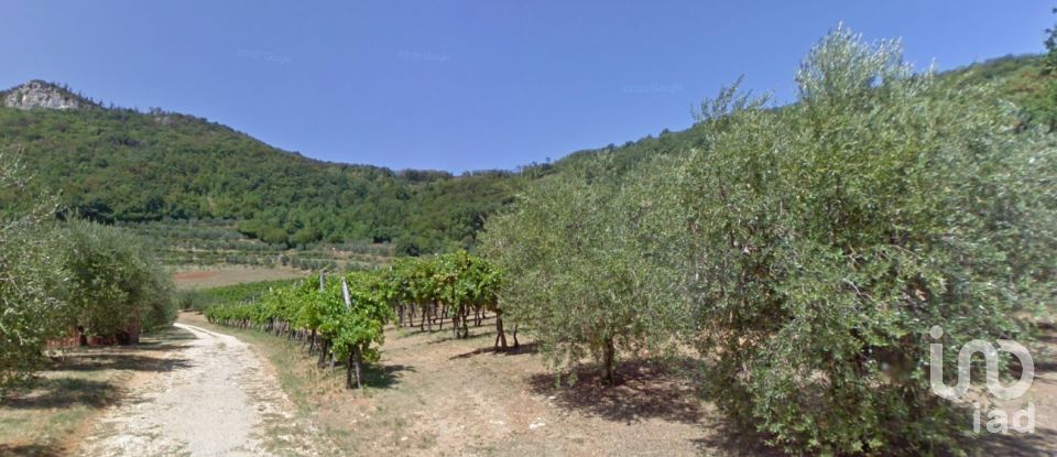 Terreno di 200.000 m² in Barbarano Vicentino (36048)