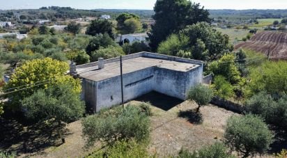 Equestrian facility 4 rooms of 135 m² in Martina Franca (74015)