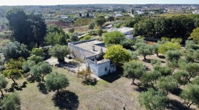 Equestrian facility 4 rooms of 135 m² in Martina Franca (74015)