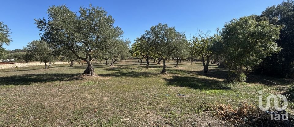 Equestrian facility 4 rooms of 135 m² in Martina Franca (74015)