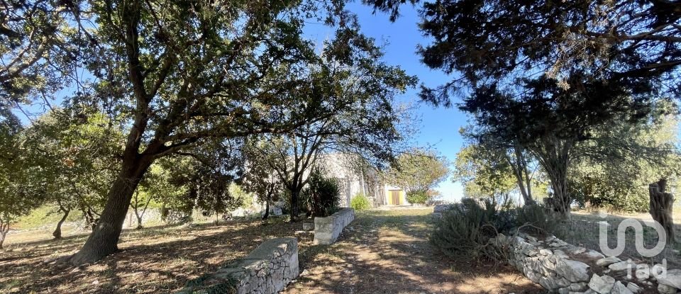 Equestrian facility 4 rooms of 135 m² in Martina Franca (74015)