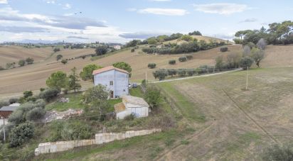 Casa 4 locali di 340 m² in Osimo (60027)