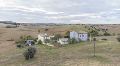 Casa 4 locali di 340 m² in Osimo (60027)