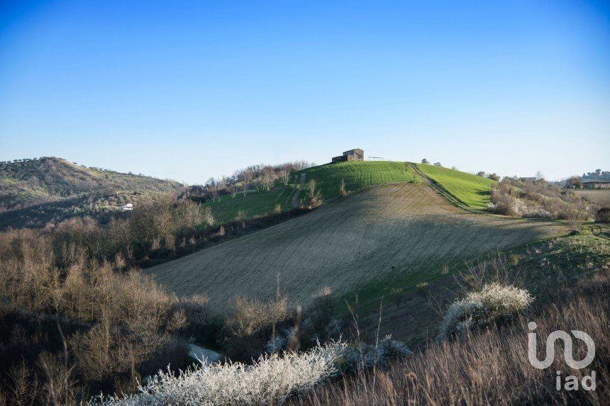 Terreno agricolo di 49.000 m² in Picciano (65010)